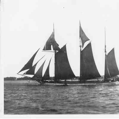 Schooner Guido underway