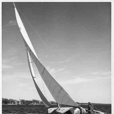 sailboat with letter F seen on sail with 3 men aboard