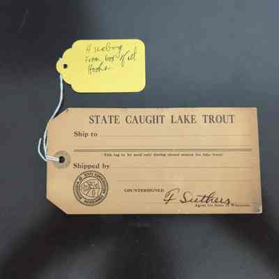 State caught lake trout