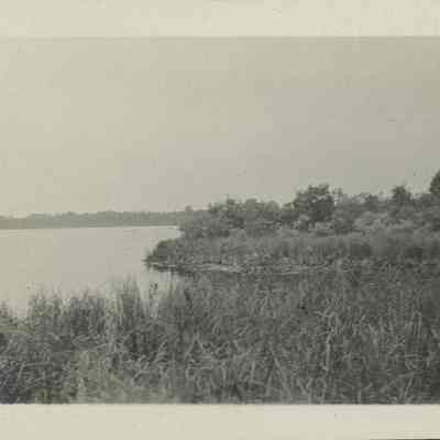 Mud Lake shoreline 1916