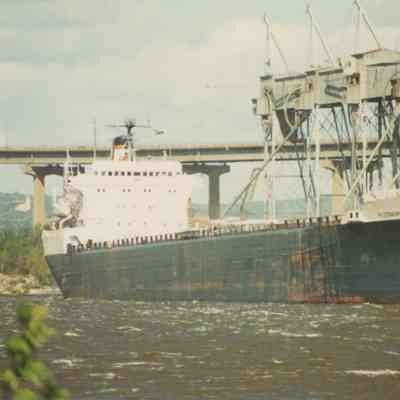 ALGONORTH