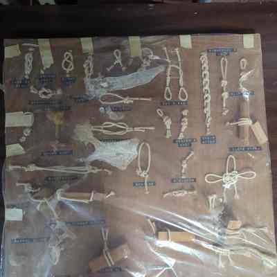 Ornamental Knot Display