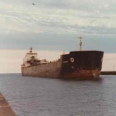ALGOBAY