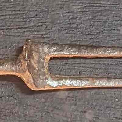 Two-Pronged Fork