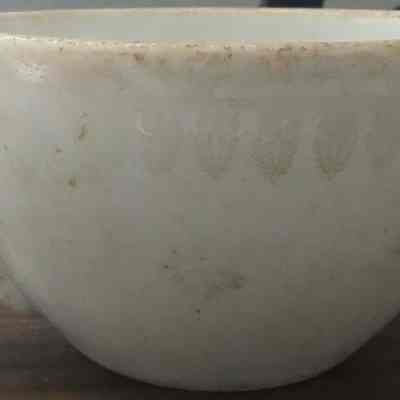 Teacup