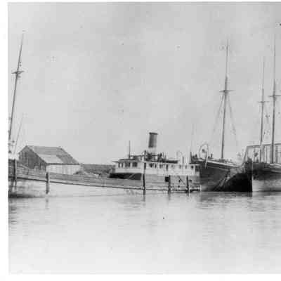 Steamers White and Friant docked alongside schooner Lizzie A. Law