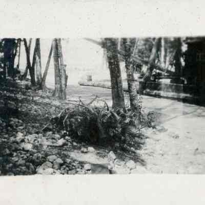 Friedmann's Harbor