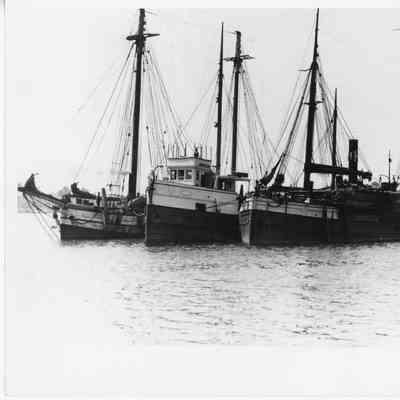 Vessels Butcher Boy, Partlow, and Delta docked