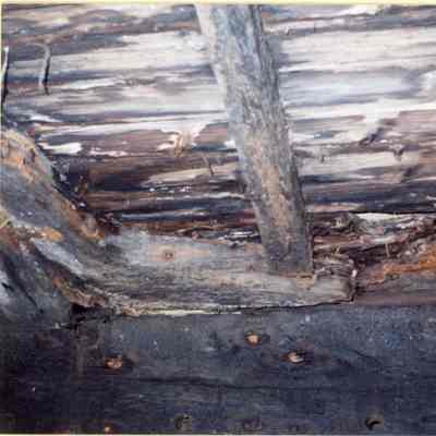 Alvin Clark decayed lodging knees 1994
