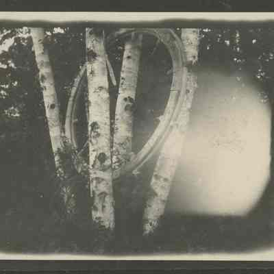Wooden ship's wheel in birch trees