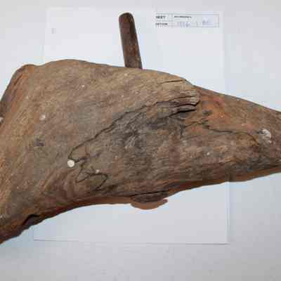 Shipwreck Ship's Knee