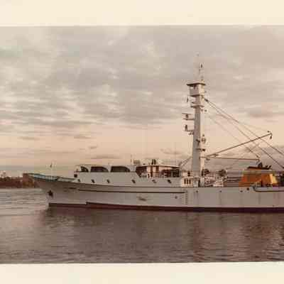 Tuna Seiner Jane