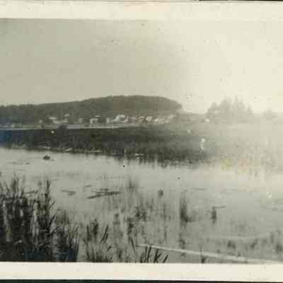 Harbor and shoreline