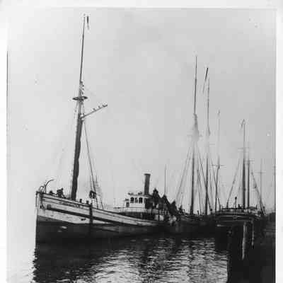 Schooner Maize and steamship H. Houghten docked next to unknown schooner