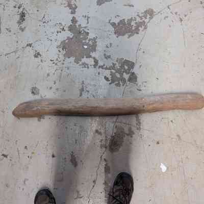 Fleetwing artifact