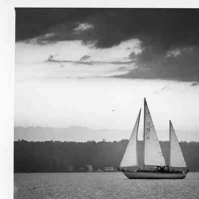 Sailboat with the number 31 on the sail 1993
