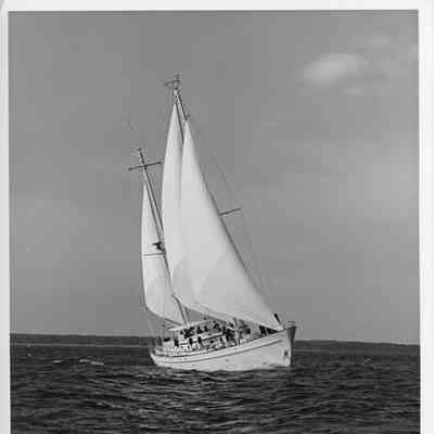 Firebird underway bow view