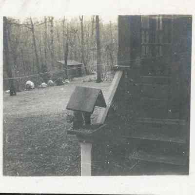 Squirrel at Birdfeeder at Hotz home
