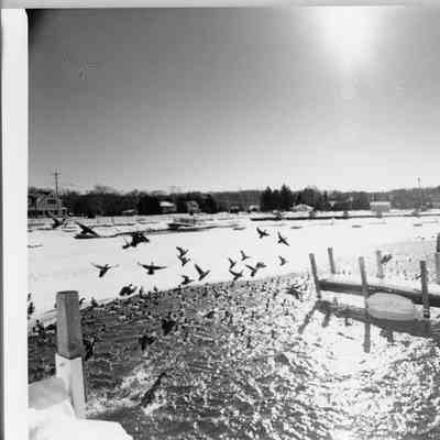 Docks in the water in winter