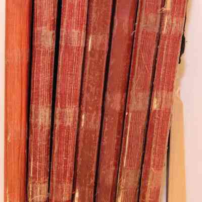 John Purves Ship Logs