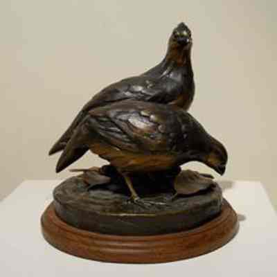 Quails Robert