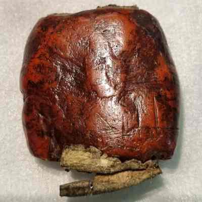 Reverse of Sir Stephen Jenyns' Wax Seal: Reproduced with permission from The National Archive ©