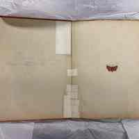 19th Century Scrapbook - Image 2