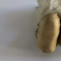 Yupik Doll - Image 5