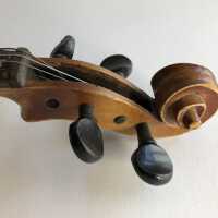          Violin picture number 3
   