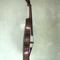          Side View
   