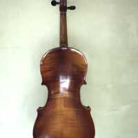          Back View
   
