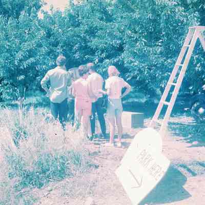 Burton Orchard Sales
