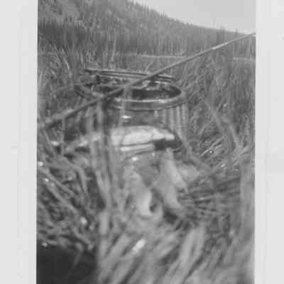 Fishing Pole in Grass
