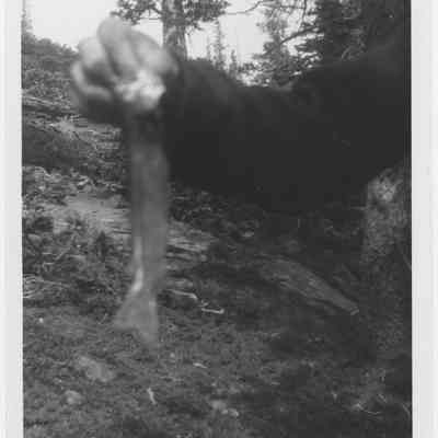 Man Holding Fish