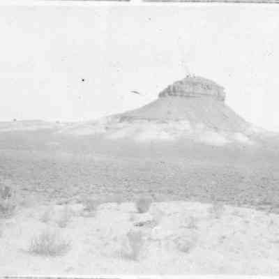 Arizona