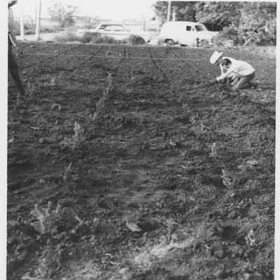 KCA Beatification Project