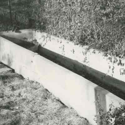 Baptism Trough