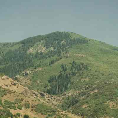 Ed's Peak from Mutton Hollow Road