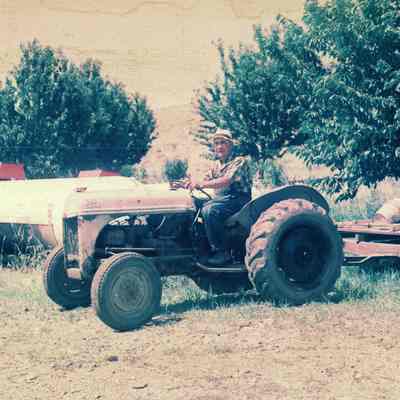 Burton Orchard