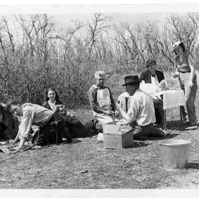 Ward Family Picnic