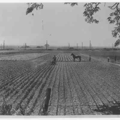 Gleason Farm