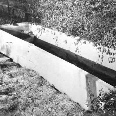 Watering Trough