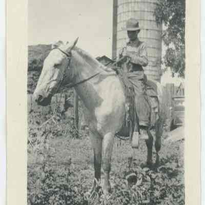 Barton Horse