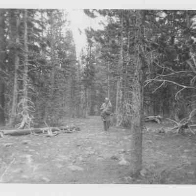 Man in Forest