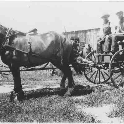 Antelope Island Wagon