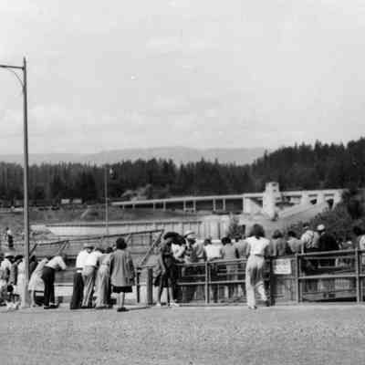 Tourists at Viewpoint