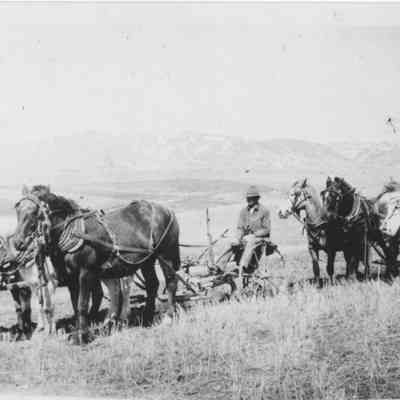 Antelope Flats Ploughing Job