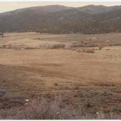 Mountain Meadow Looking West