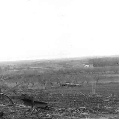 Butcher Field and Orchard