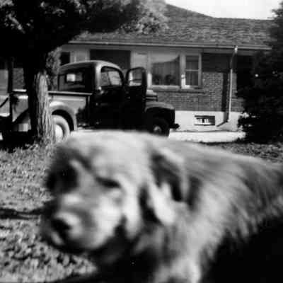 Dog with Truck and House
